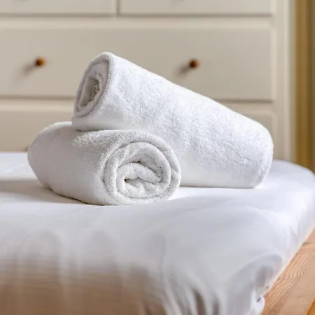 Agapanthes Jolie Maison De A Avec Exterieur Terrasse *